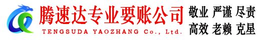 泰和追债公司